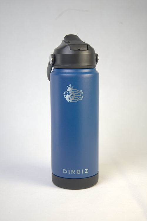 Dingiz Flow 700