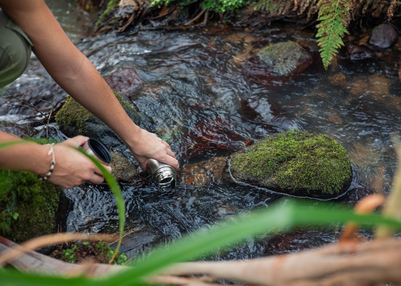 sustainable drinkware