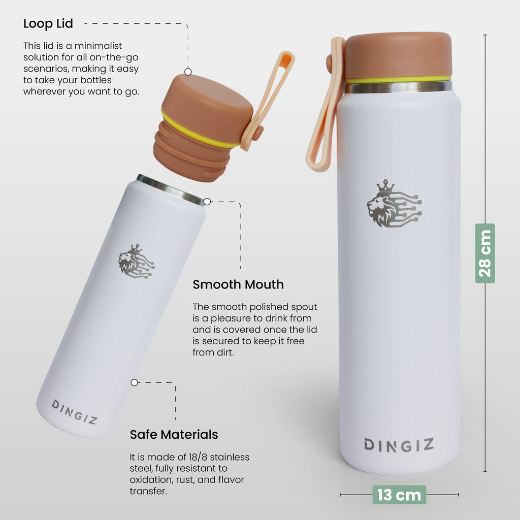 Dingiz Mini Flow 265 - 9 Oz Stainless Steel Bottle
